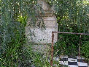 CIMETIERE DE TAMAZOUHET D ORAN EN MARS 2012  (55)